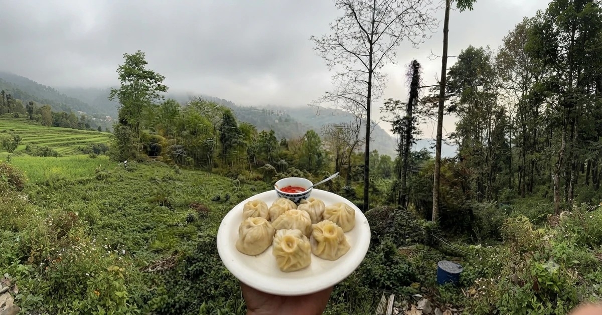 Top 10 Must-Try Local Foods in Sikkim You Cannot Miss